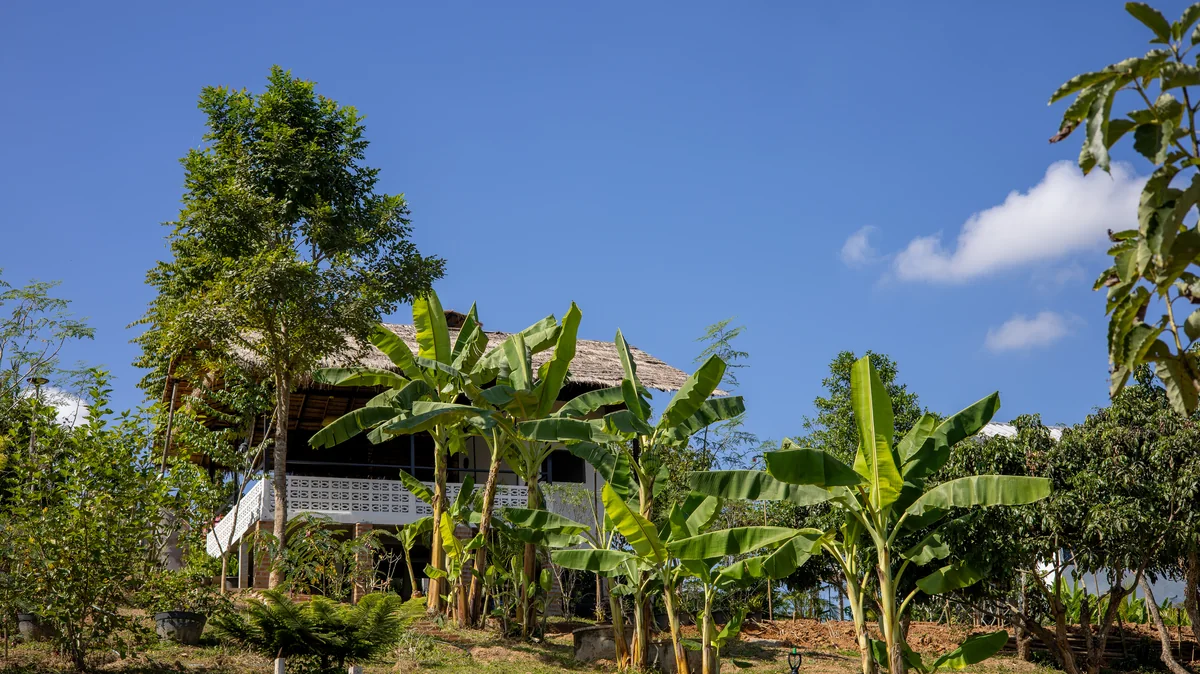 The teahouse and orchard at Loei Valley, framed by trees under open sky.