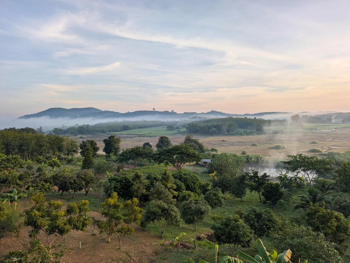 Morning mist drifting across the orchard and surrounding hills.